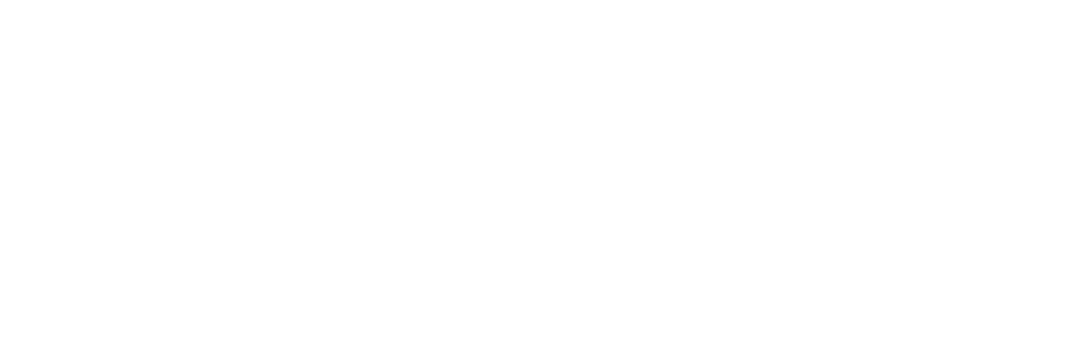 Sony Logo White